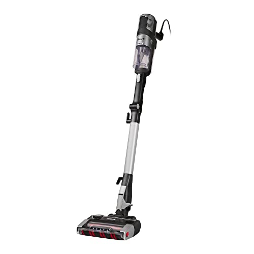 Dyson Ball Animal Upright